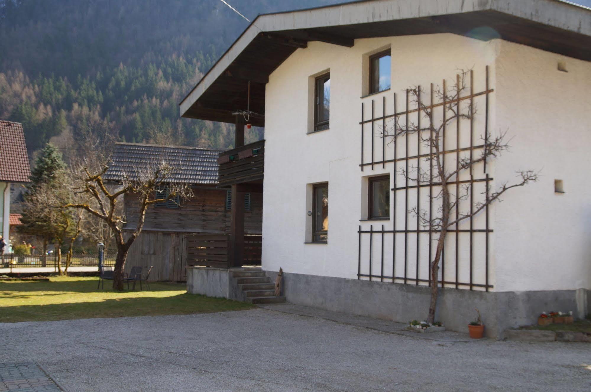 W & S Executive Apartments - Hallstatt I Экстерьер фото